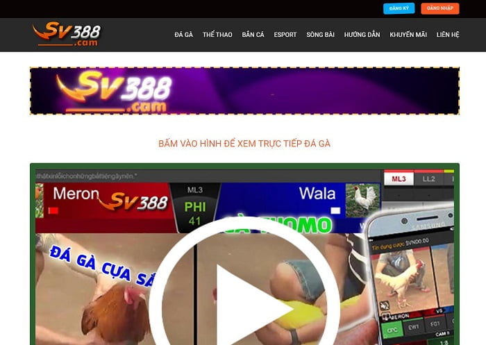 Xếp hạng Ta88 là sự lựa chọn phổ biến của nhiều khách hàng - Ta88