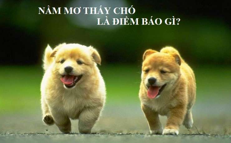 Hướng dẫn đăng nhập Vokbet đơn giản nhất - Vokbet