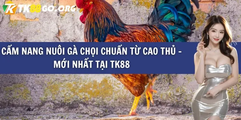 Các thành viên đăng tải nội dung đạt chuẩn Onbet88 sẽ nhận được phần thưởng 88000 - Onbet88