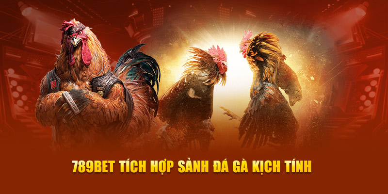 Tf88 là nơi dành cho những người yêu thích sự vui vẻ và hào hứng - Tf88