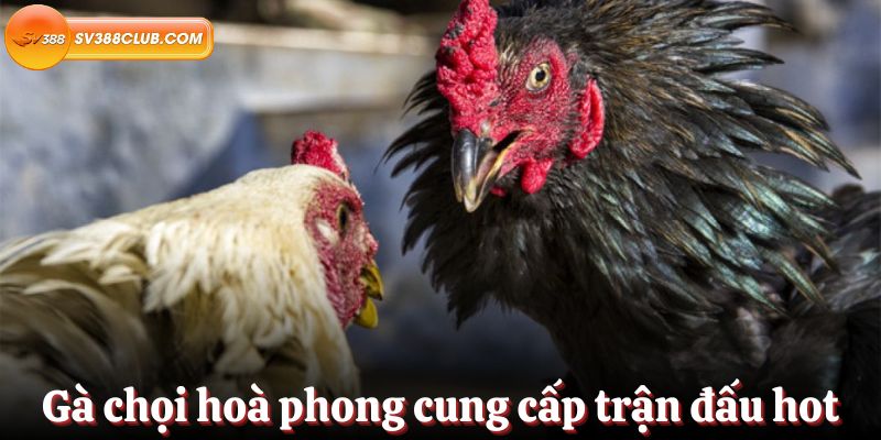 Bigbet88 sẽ tặng 38000 đô la cho những khách hàng mới đăng ký - Bigbet88