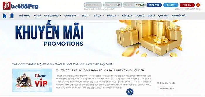 Loto288 cung cấp các ưu đãi độc quyền - Loto288