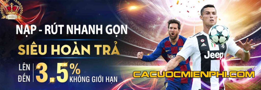 Kế hoạch bảo hiểm đại lý Zalv - Zalv