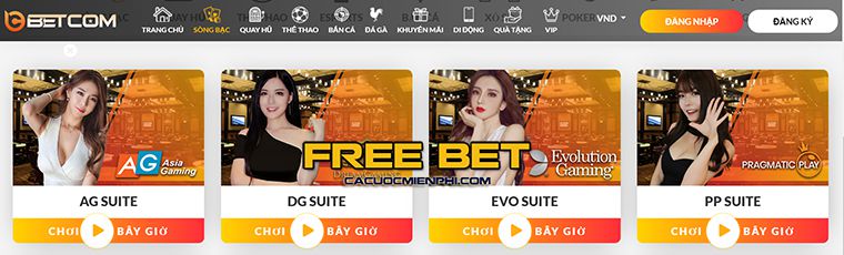 Hướng dẫn chi tiết về cách đăng nhập vào I9bet một cách dễ dàng - I9bet