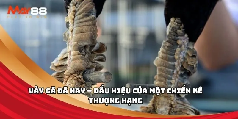 Liệu I9bet có thanh toán sớm nhất có thể không? Liệu I9bet có thực sự thanh toán không? - I9bet