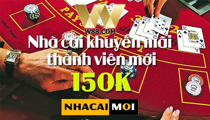 Thiên đường dành cho người mới bắt đầu Typhu88 - Typhu88