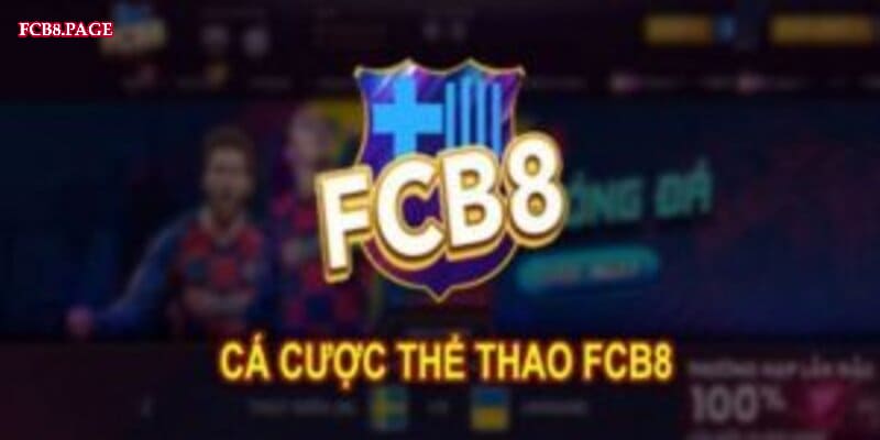 Điều gì làm cho các sản phẩm Betcom trở nên khác biệt? - Betcom