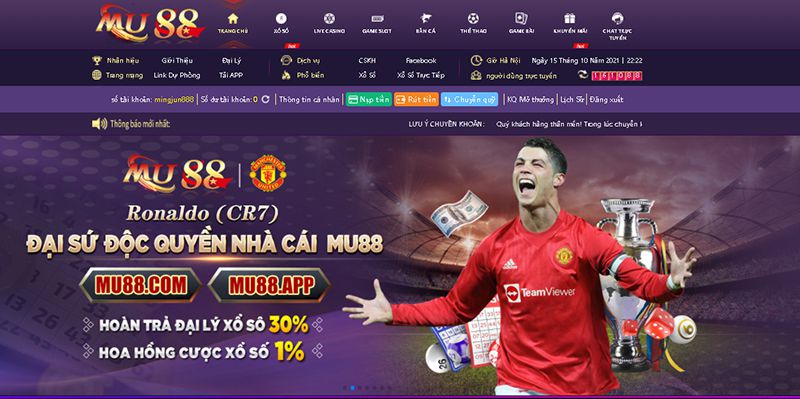 Bí quyết làm nên sự giàu có hạng Okking - Okking