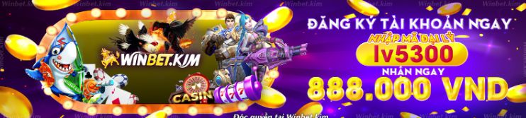 Hỗ trợ và hợp tác với N666 Games - N666