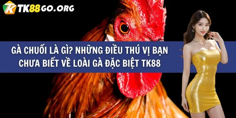 Đánh giá Sbty - Giao diện hiện đại và dễ sử dụng - Sbty