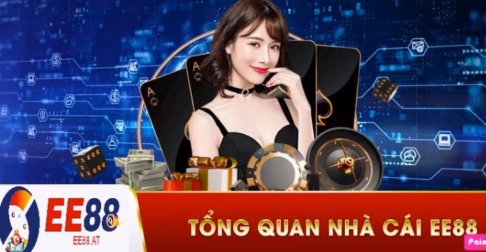 Tại sao Betvn lại là sự lựa chọn hàng đầu của người chơi cá cược? - Betvn