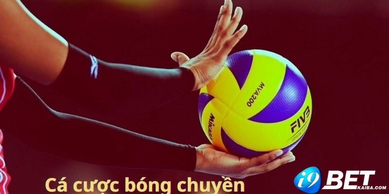 Trang web máy đánh bạc trực tuyến đạt chuẩn Sa88 sẽ ra mắt vào năm 2026 - Sa88